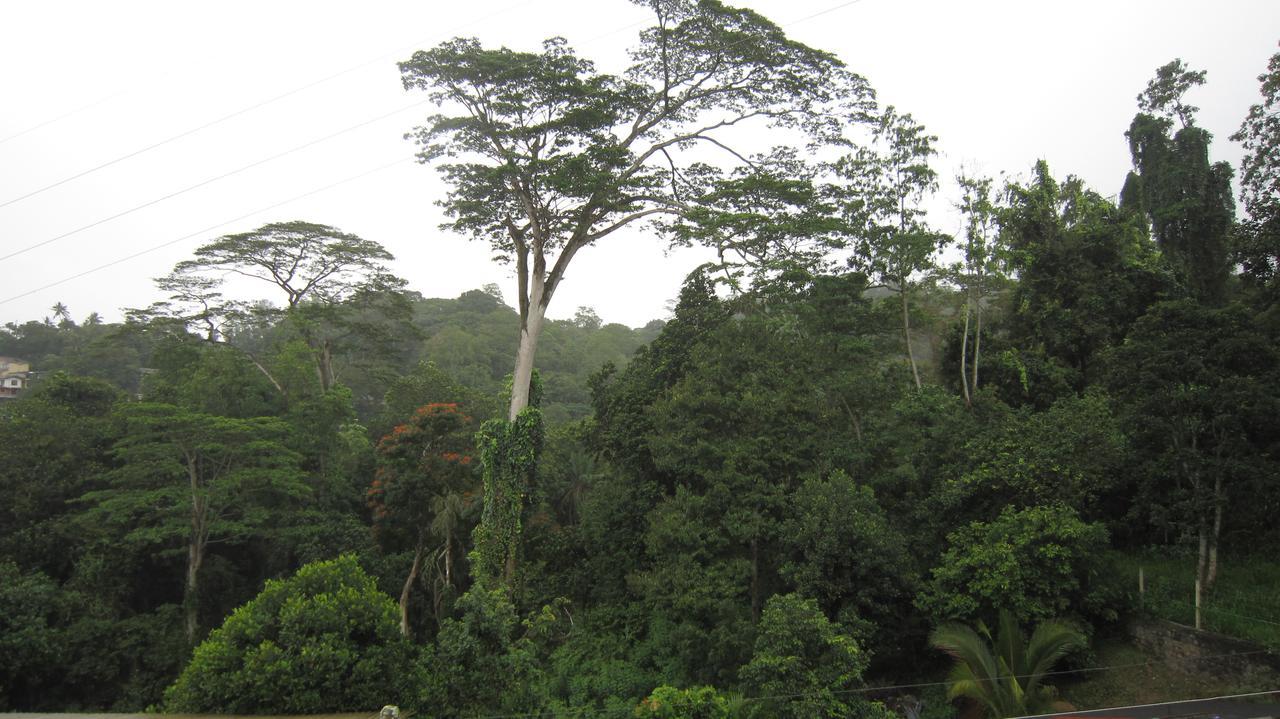 Bethel Rest Homestay Kandy Eksteriør bilde